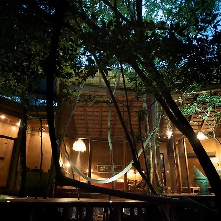 Ojo De Arbol, Boutique Cabin In The Real Jungle