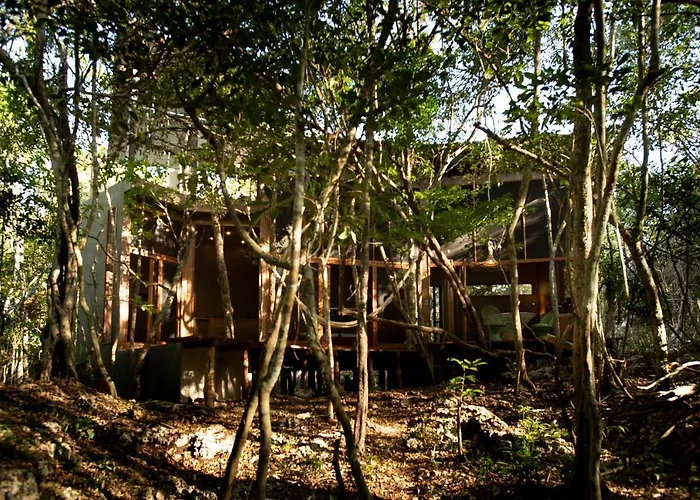 Villa Ojo De Arbol, Boutique In The Real Jungle *