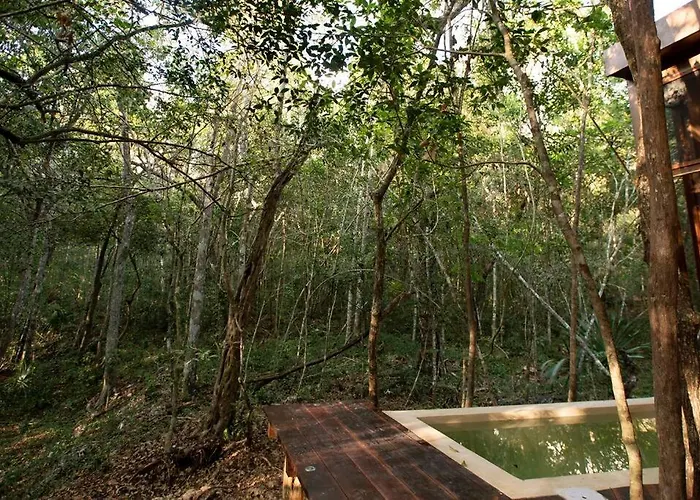Ojo De Arbol, Boutique In The Real Jungle