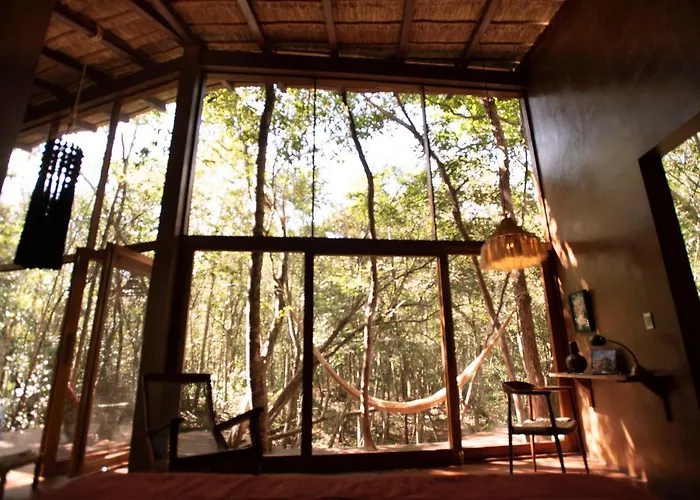 Ojo De Arbol, Boutique In The Real Jungle Tulum