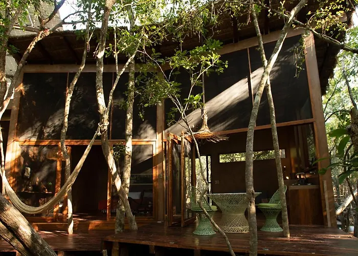 Ojo De Arbol, Boutique In The Real Jungle Villa