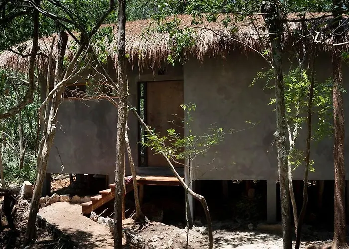 Ojo De Arbol, Boutique In The Real Jungle Villa