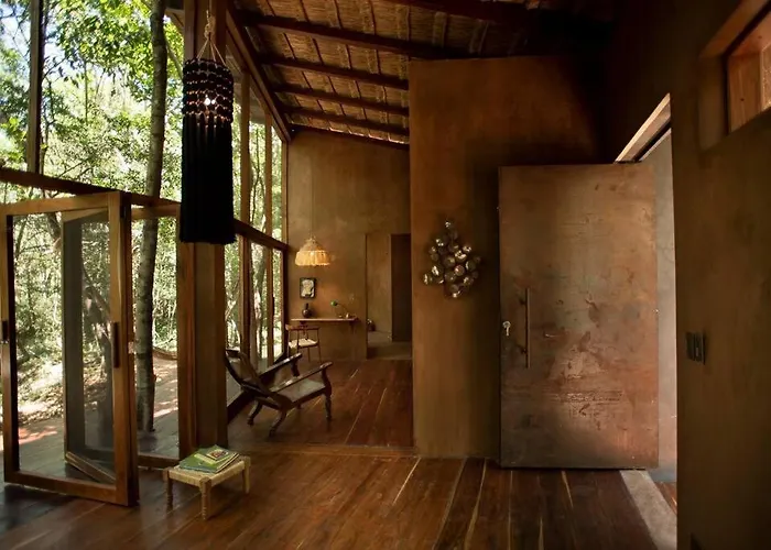Ojo De Arbol, Boutique In The Real Jungle *