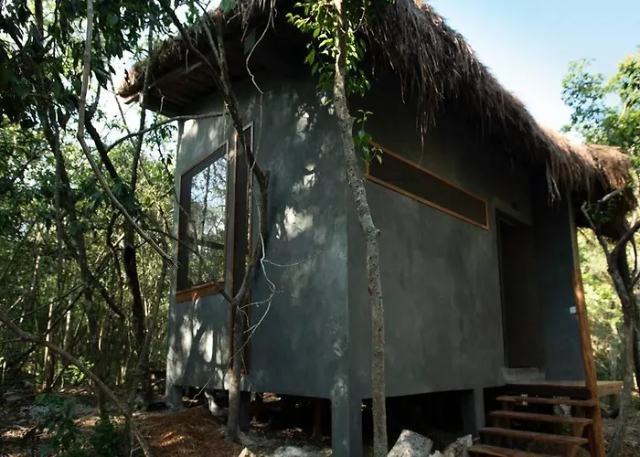 Ojo De Arbol, Boutique In The Real Jungle Villa Tulum