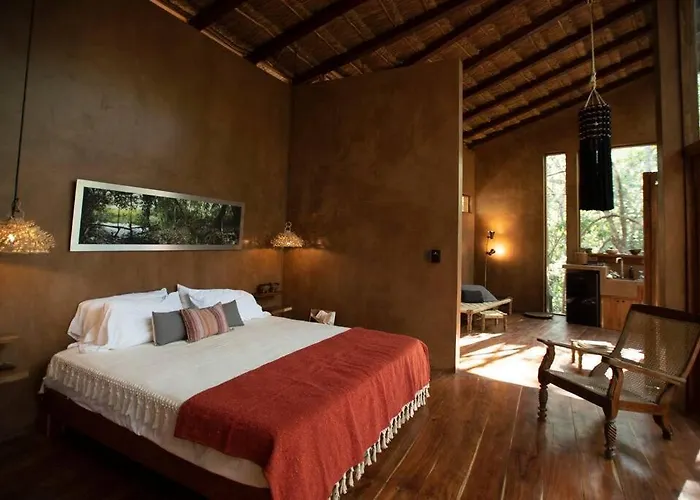 Ojo De Arbol, Boutique In The Real Jungle