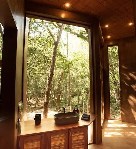 Ojo De Arbol, Boutique In The Real Jungle