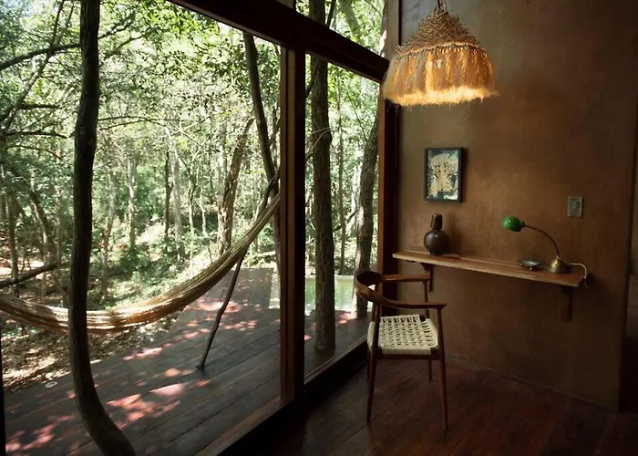 Ojo De Arbol, Boutique In The Real Jungle