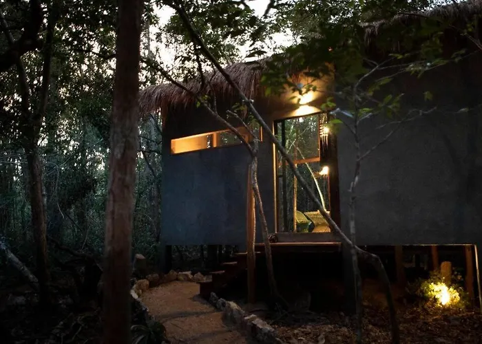 Ojo De Arbol, Boutique In The Real Jungle * Tulum