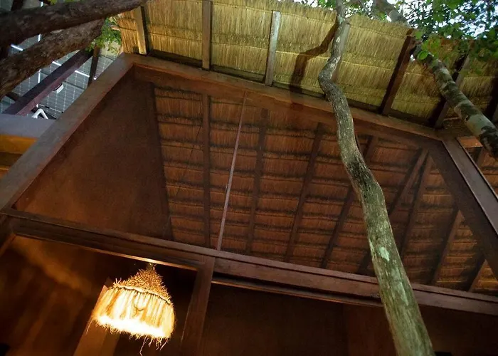 Ojo De Arbol, Boutique In The Real Jungle