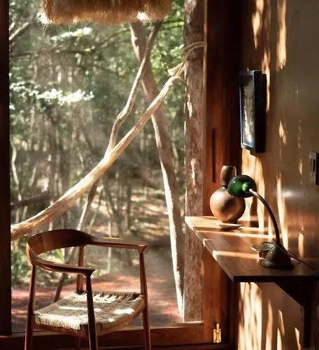 Ojo De Arbol, Boutique In The Real Jungle